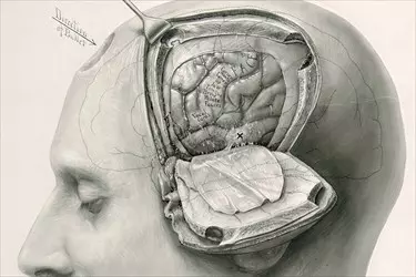 Best Neurosurgeons in India, Top Neurosurgeon in India, Best Brain Surgeon in India, Best Spine Surgeon in India, Contact Best Neurosurgeon in India, Dr Rana Patir, Dr Sandeep Vaishya, Dr VS Mehta